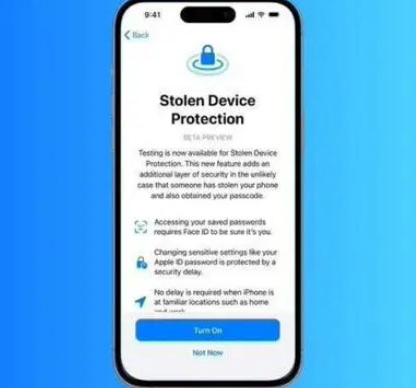 东西湖苹果授权维修店分享被盗设备保护功能开启方法 