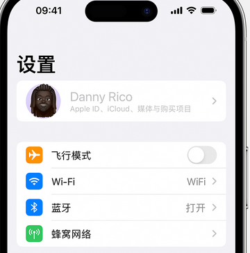 东西湖appleID维修服务iPhone设置中Apple ID显示为灰色无法使用 