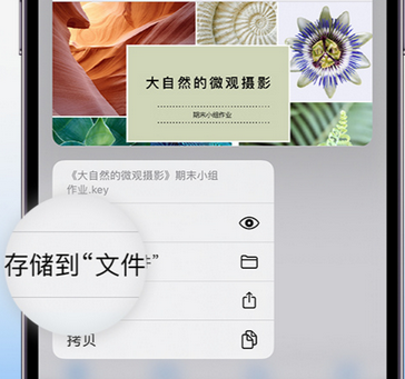 东西湖apple维修中心分享iPhone文件应用中存储和找到下载文件