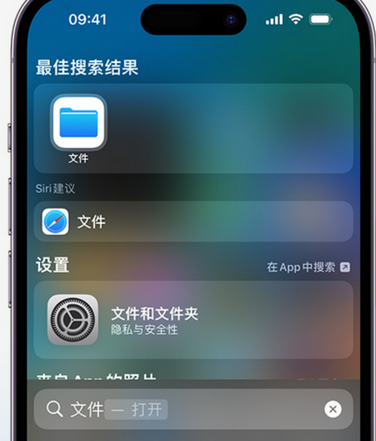 东西湖apple维修中心分享iPhone文件应用中存储和找到下载文件 