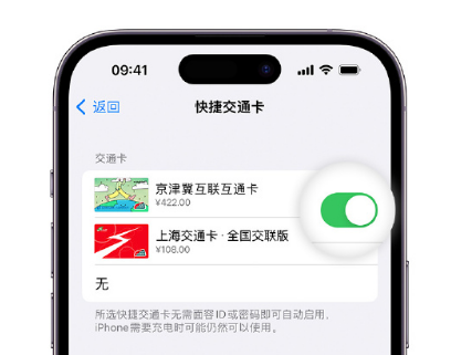 东西湖apple维修点分享iPhone上更换Apple Pay快捷交通卡手绘卡面 