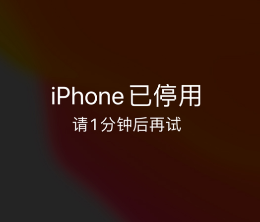 东西湖苹果手机维修分享:iPhone 显示“不可用”或“已停用”怎么办？还能保留数据吗？ 