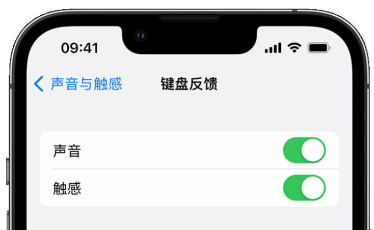 东西湖苹果手机维修分享iPhone 14触感键盘使用方法 