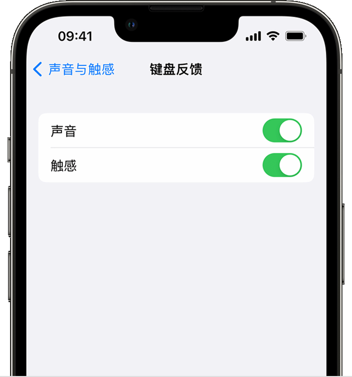 东西湖苹果14维修店分享如何在 iPhone 14 机型中使用触感键盘 