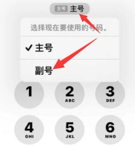 东西湖苹果14维修店分享iPhone 14 Pro Max使用副卡打电话的方法 