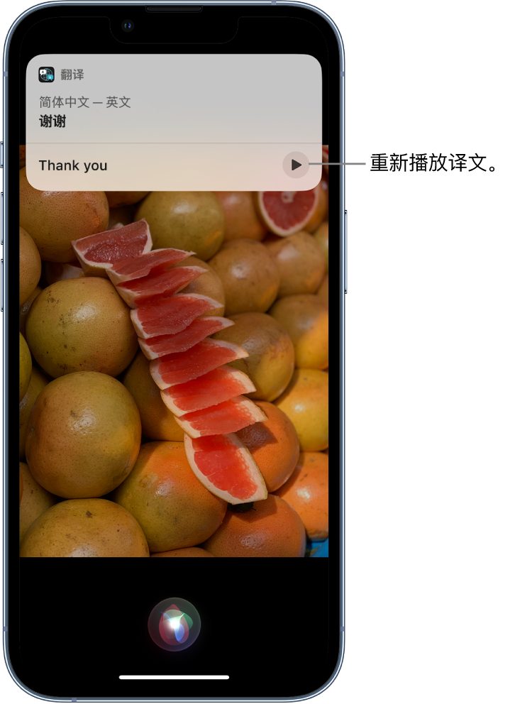 东西湖苹果14维修分享 iPhone 14 机型中使用 Siri：了解 Siri 能帮你做什么 