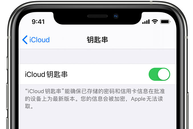 东西湖苹果手机维修分享在 iPhone 上开启 iCloud 钥匙串之后会储存哪些信息 