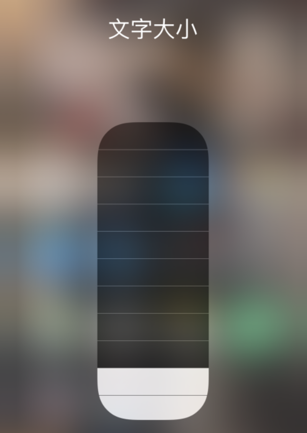 东西湖苹果手机维修分享小技巧：在 iPhone 控制中心快速调节字体大小 