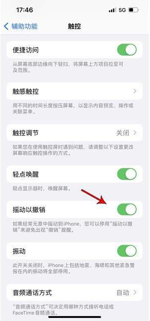 东西湖苹果手机维修分享iPhone手机如何设置摇一摇删除文字 